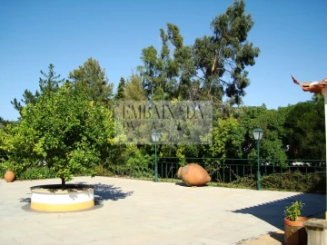 Moradia T8 para Venda em Roliça