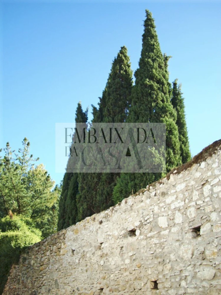 Moradia T8 para Venda em Roliça Foto 30