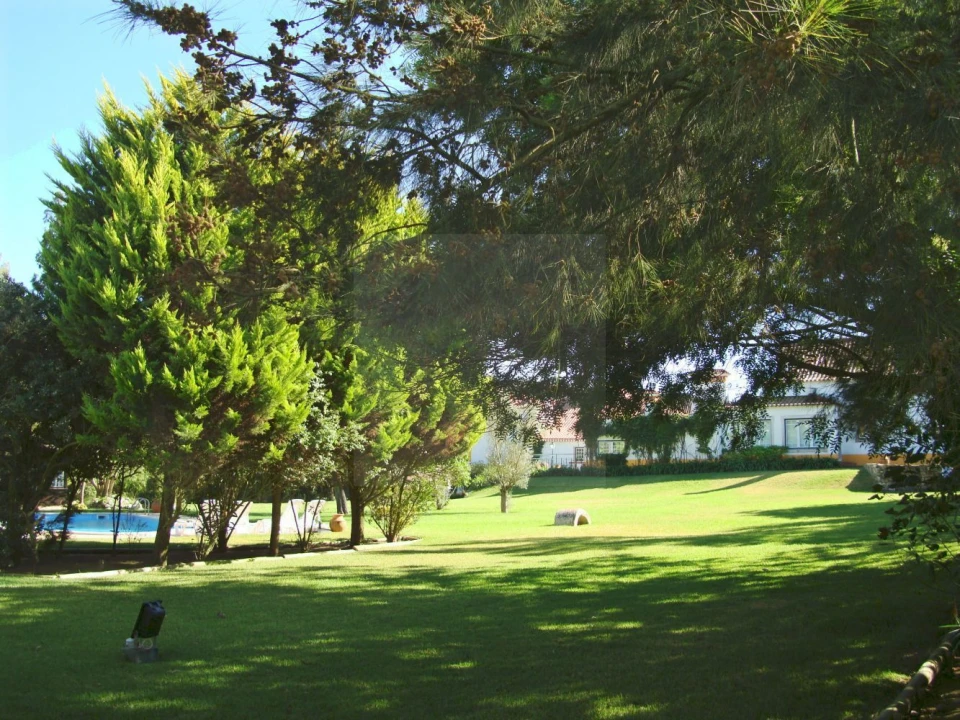 Moradia T8 para Venda em Roliça Foto 38