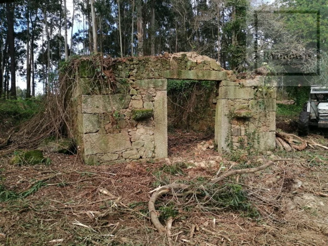 Terreno para Venda em Gemeses Foto 10