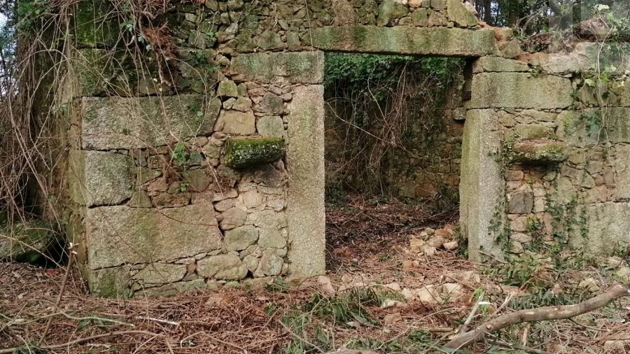 Terreno para Venda em Gemeses