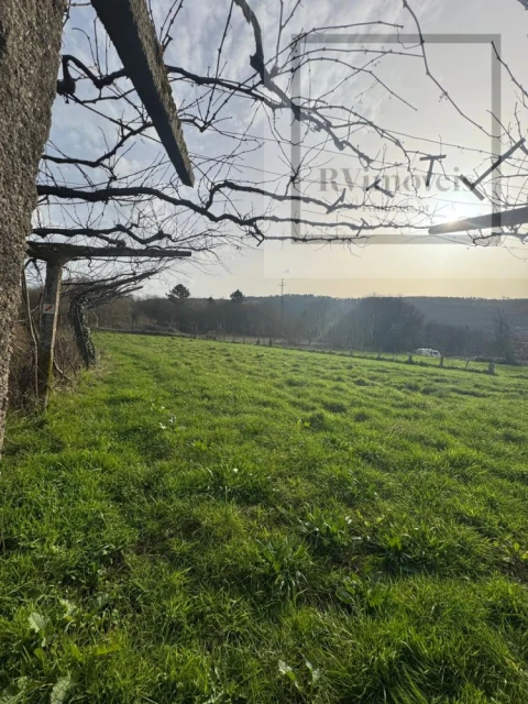 Terreno para Venda em Coura