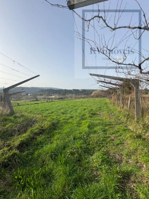 Terreno para Venda em Coura