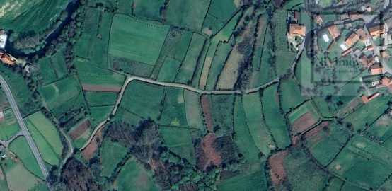 Terreno para Venda em Coura