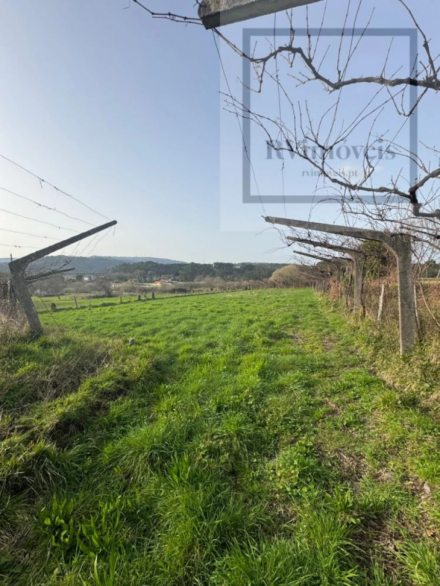 Terreno para Venda em Coura Foto 2