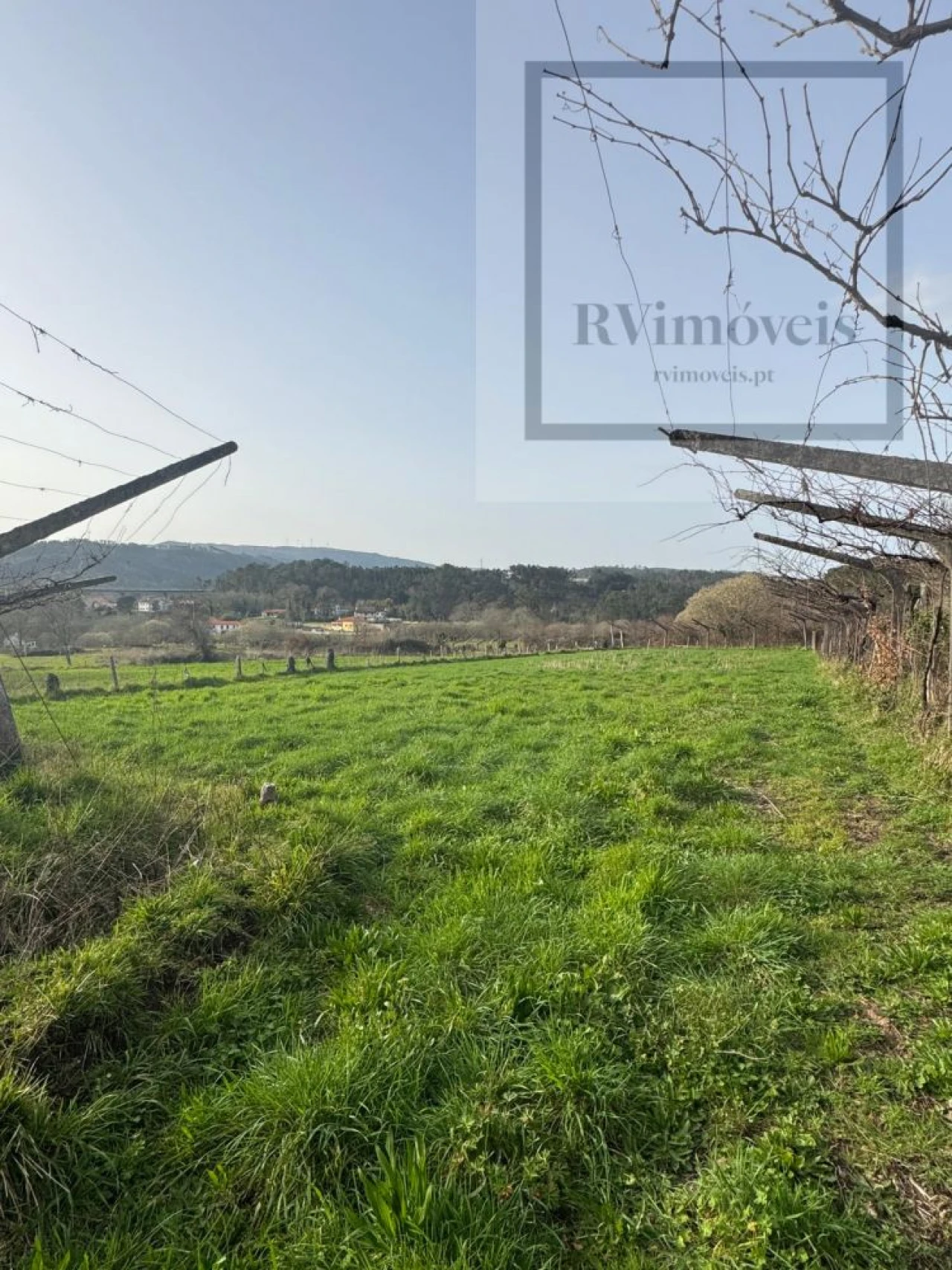 Terreno para Venda em Coura Foto 4