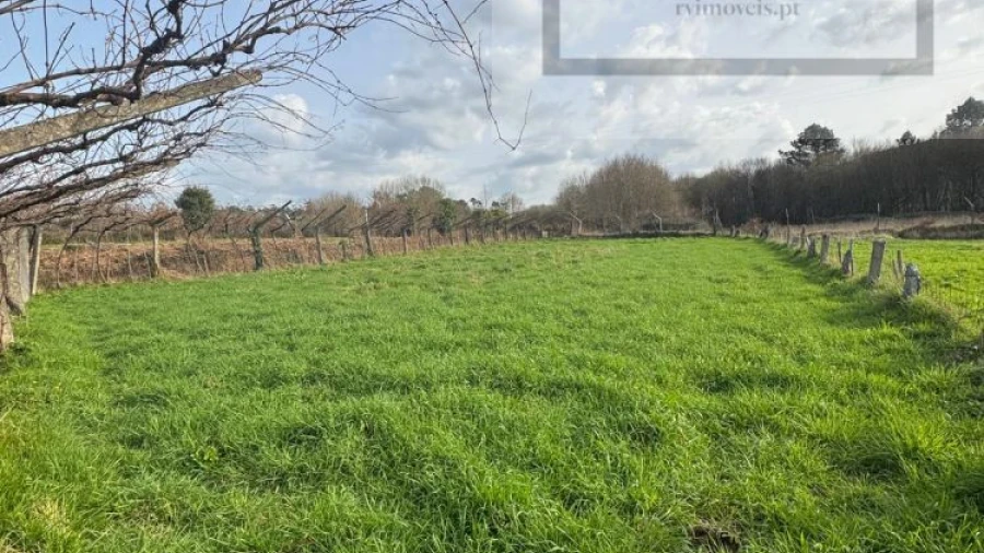 Terreno para Venda em Coura