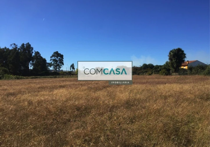 Terreno para Venda em Gião Foto 3