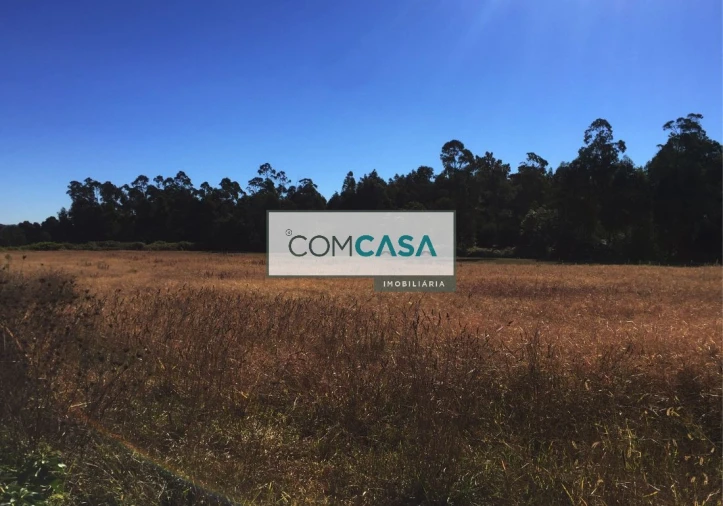 Terreno para Venda em Gião Foto 4