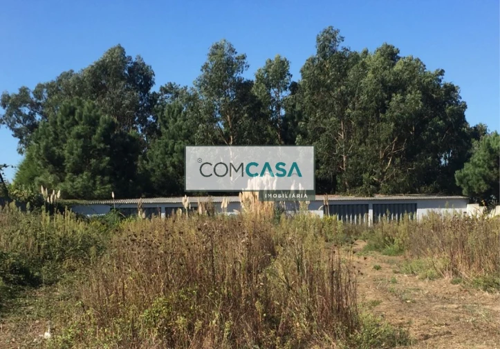 Terreno para Venda em Perafita, Lavra e Santa Cruz do Bispo Foto 3