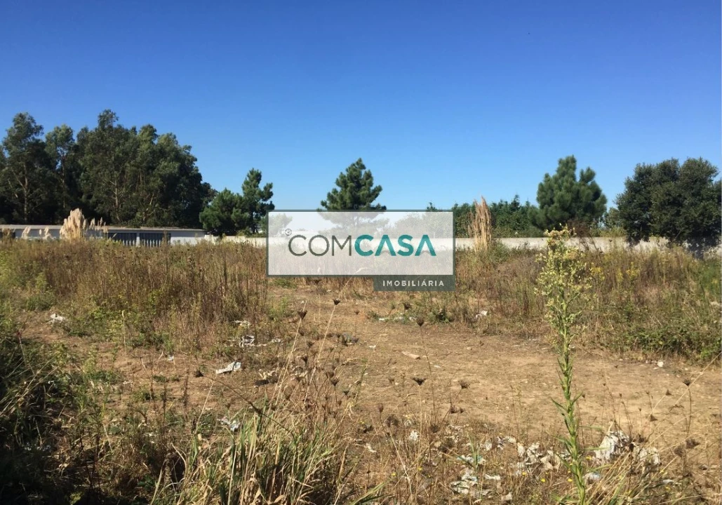 Terreno para Venda em Perafita, Lavra e Santa Cruz do Bispo Foto 6