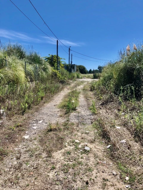 Terreno para Arrendamento em Perafita, Lavra e Santa Cruz do Bispo