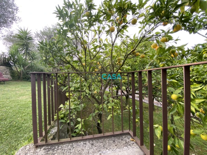 Quinta T10 para Venda em Costa Foto 25