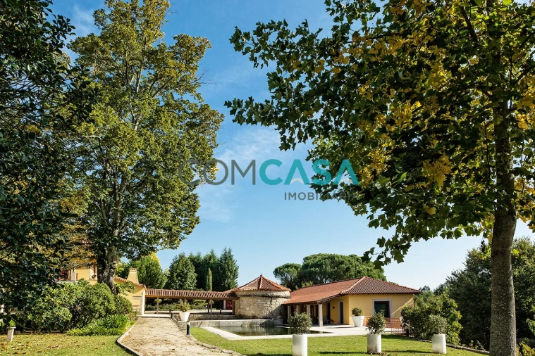 Quinta T7 para Venda em Tondela e Nandufe Foto 4