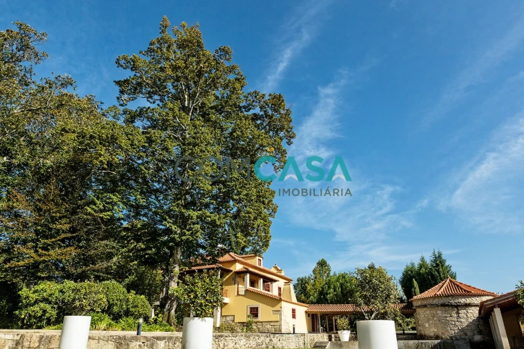 Quinta T7 para Venda em Tondela e Nandufe Foto 3