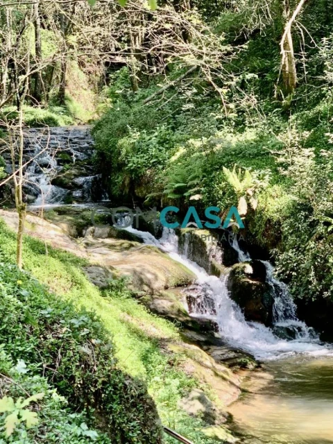 Quinta T2 para Venda em Vila Boa do Bispo