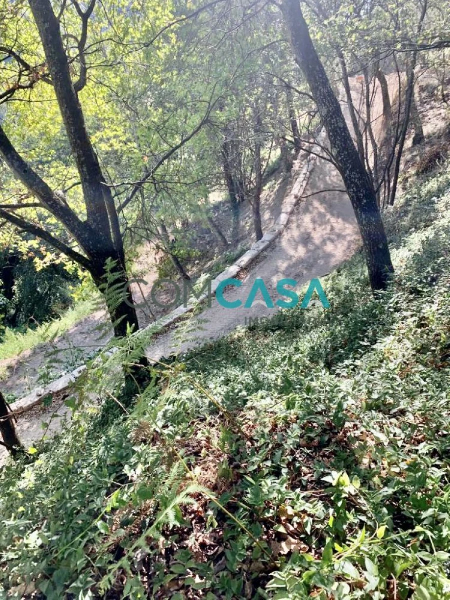 Quinta T2 para Venda em Vila Boa do Bispo Foto 12