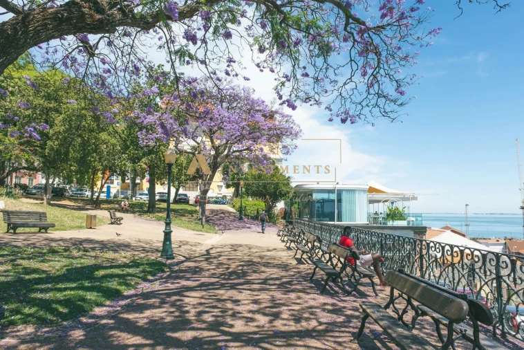 Apartamento T3 para Venda em Estrela Foto 2