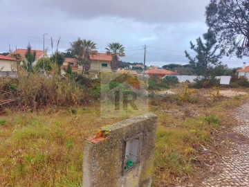 Terreno para Venda em Nadadouro