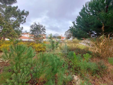 Terreno para Venda em Nadadouro