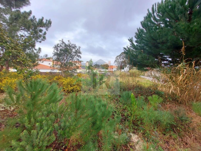 Terreno para Venda em Nadadouro Foto 7