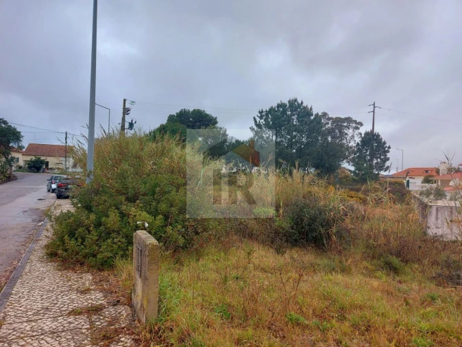 Terreno para Venda em Nadadouro Foto 5
