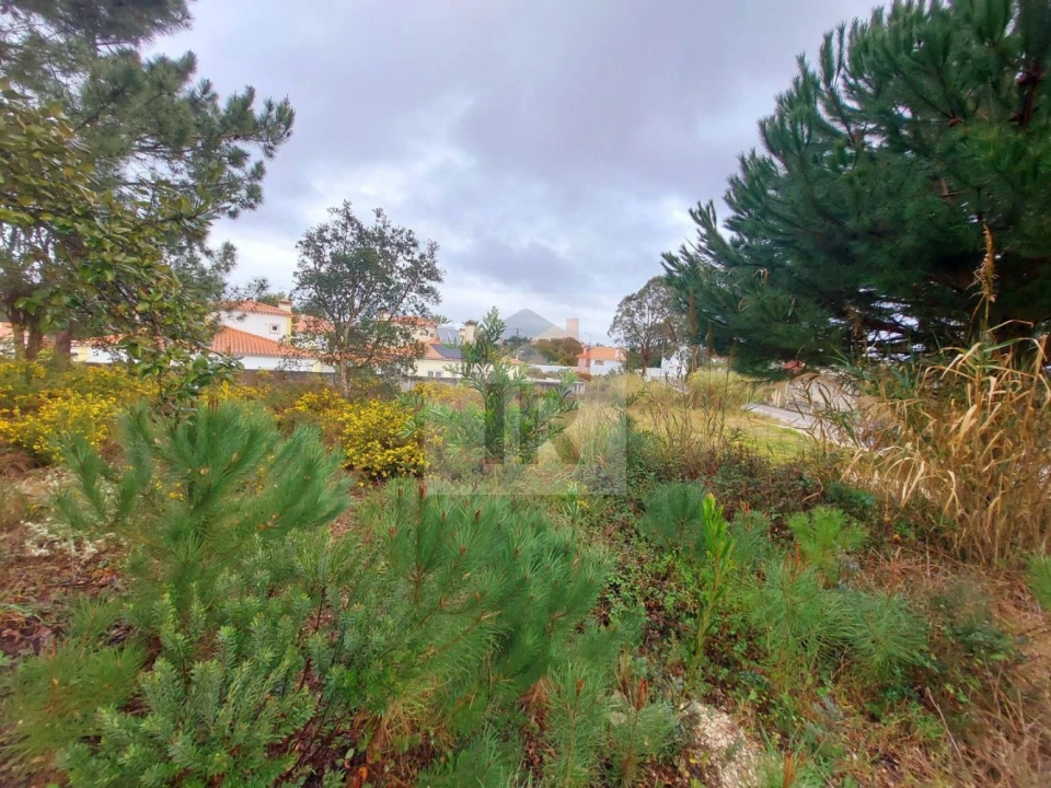 Terreno para Venda em Nadadouro Foto 6