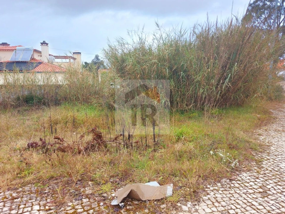 Terreno para Venda em Nadadouro Foto 2