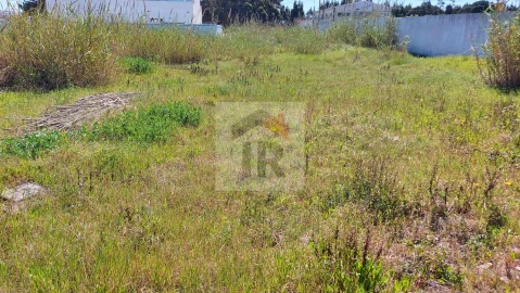 Terreno para Venda em Tornada e Salir do Porto