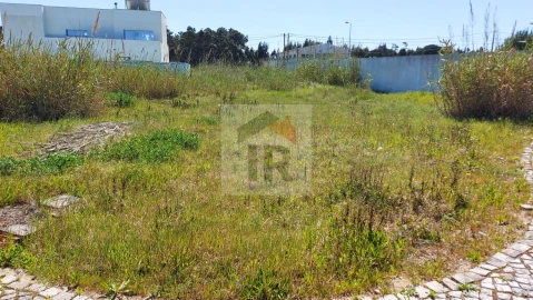 Terreno para Venda em Tornada e Salir do Porto
