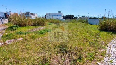 Terreno para Venda em Tornada e Salir do Porto