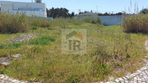 Terreno para Venda em Tornada e Salir do Porto