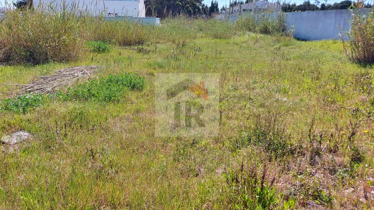 Terreno para Venda em Tornada e Salir do Porto Foto 2