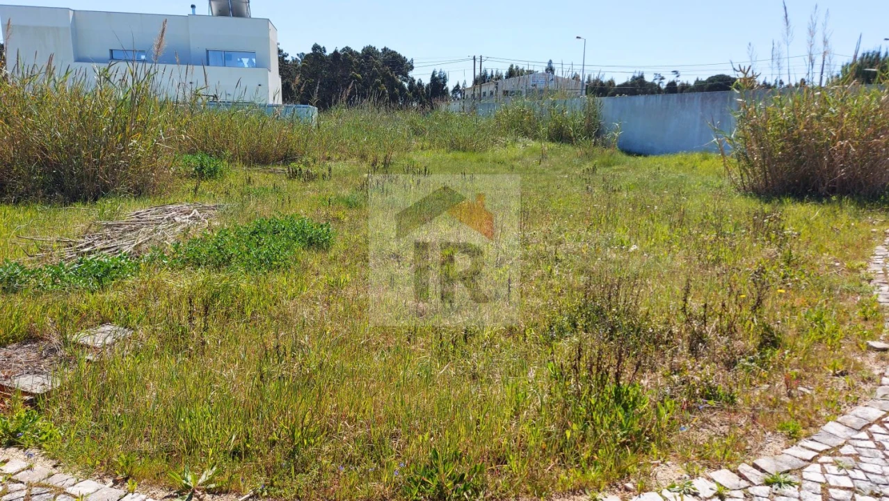 Terreno para Venda em Tornada e Salir do Porto Foto 3