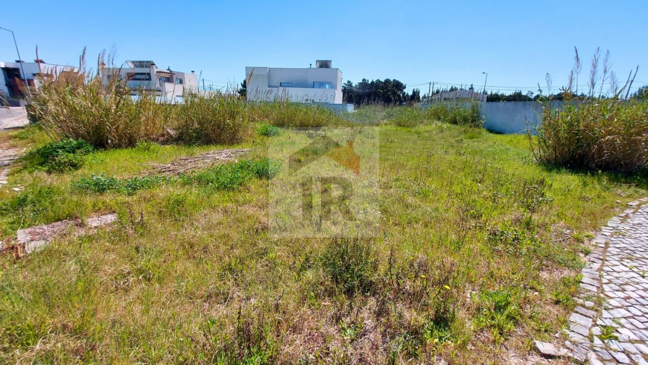 Terreno para Venda em Tornada e Salir do Porto Foto 1