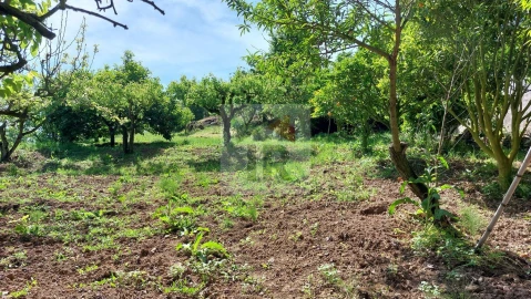 Terreno para Venda em Nossa Senhora do Pópulo, Coto e São Gregório