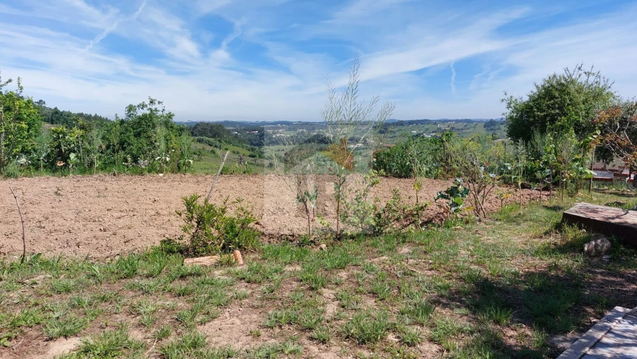 Terreno para Venda em Nossa Senhora do Pópulo, Coto e São Gregório Foto 11