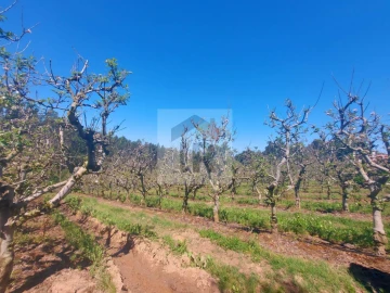 Terreno para Venda em Nossa Senhora do Pópulo, Coto e São Gregório