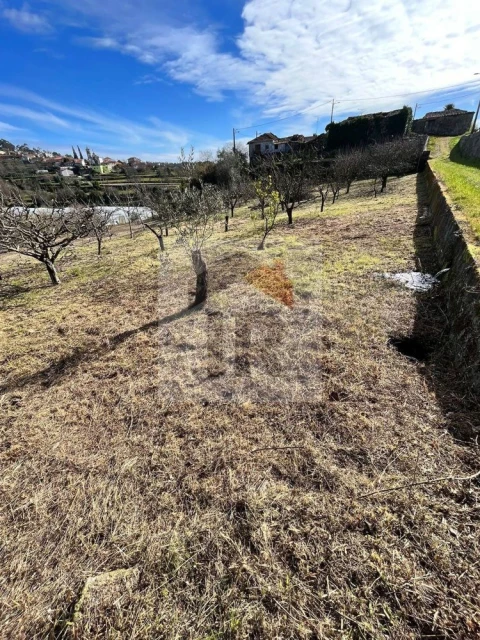Moradia T4 para Venda em Vila Maior