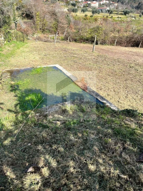 Moradia T4 para Venda em Vila Maior