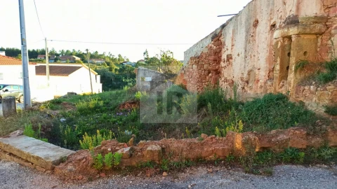 Terreno para Venda em Alvorninha