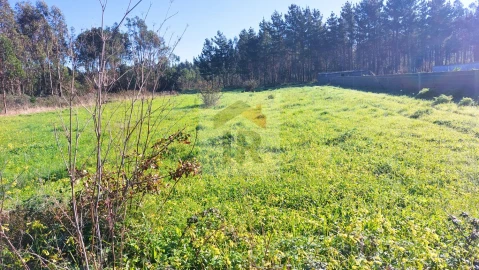 Terreno para Venda em São Martinho do Porto