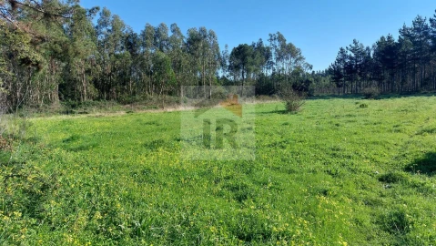 Terreno para Venda em São Martinho do Porto