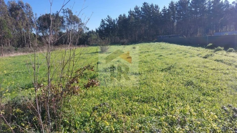 Terreno para Venda em São Martinho do Porto