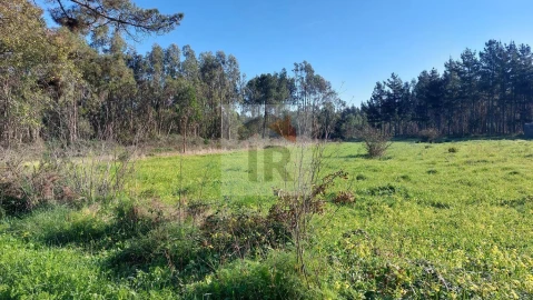 Terreno para Venda em São Martinho do Porto