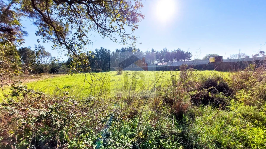 Terreno para Venda em São Martinho do Porto Foto 7