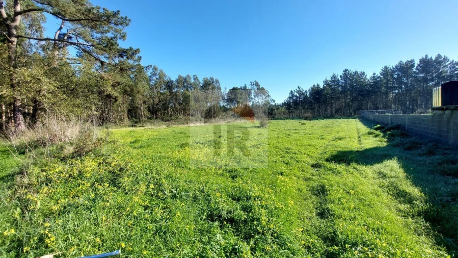 Terreno para Venda em São Martinho do Porto Foto 2