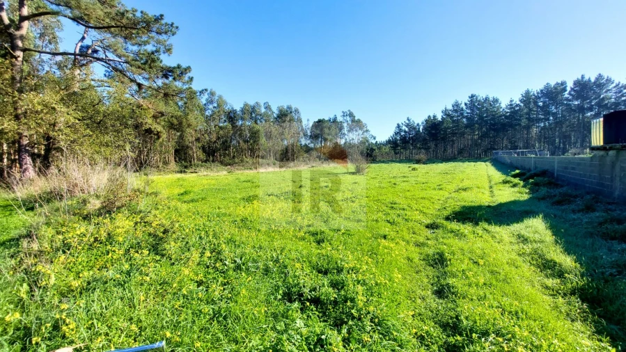 Terreno para Venda em São Martinho do Porto Foto 11