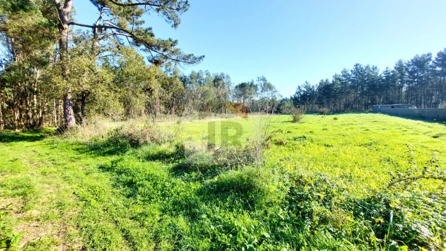 Terreno para Venda em São Martinho do Porto Foto 2