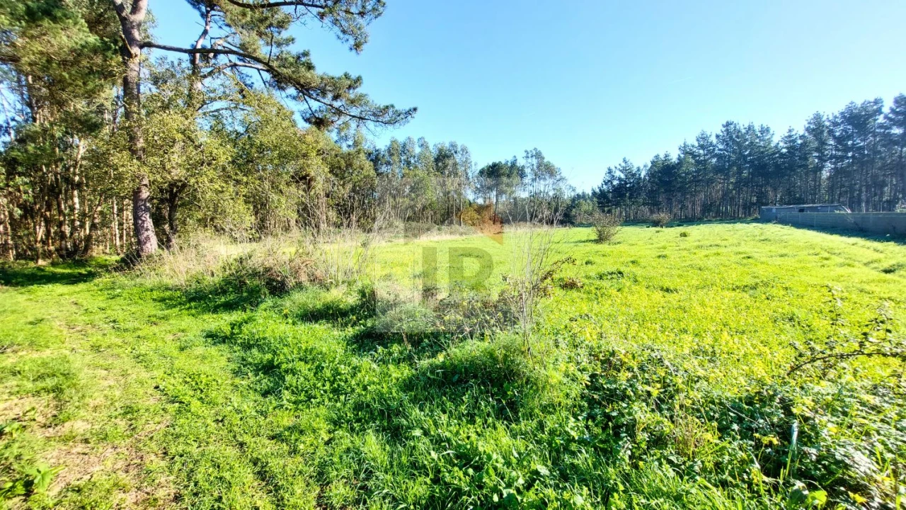 Terreno para Venda em São Martinho do Porto Foto 3